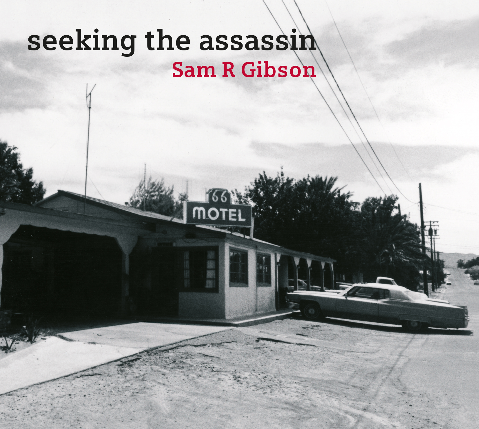 Seeking the Assassin album cover